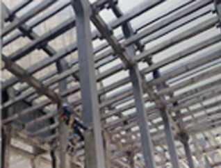 ����鿴��