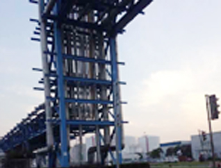 ����鿴��