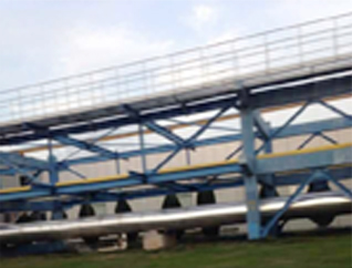 ����鿴��